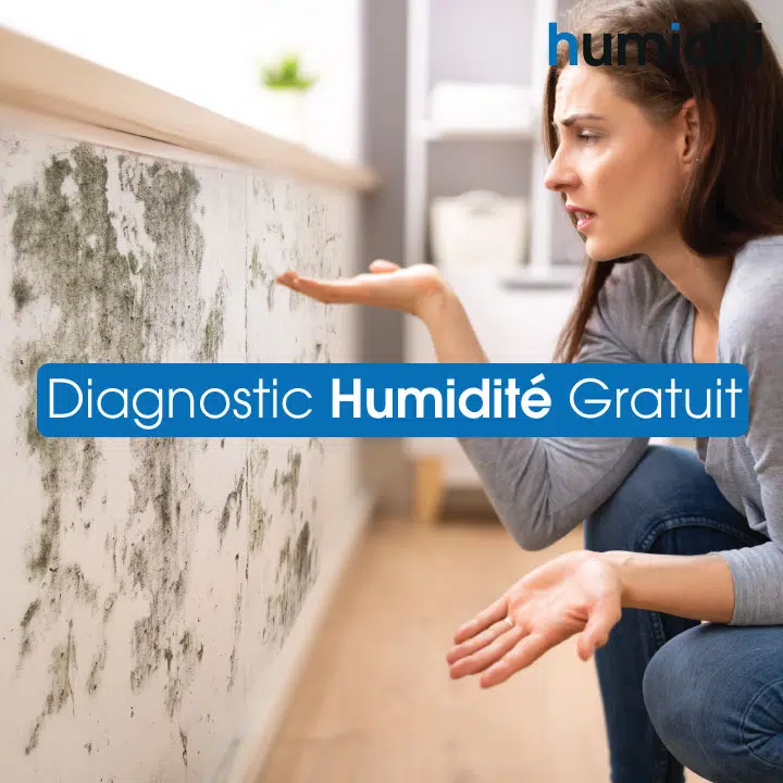 humidité habitat