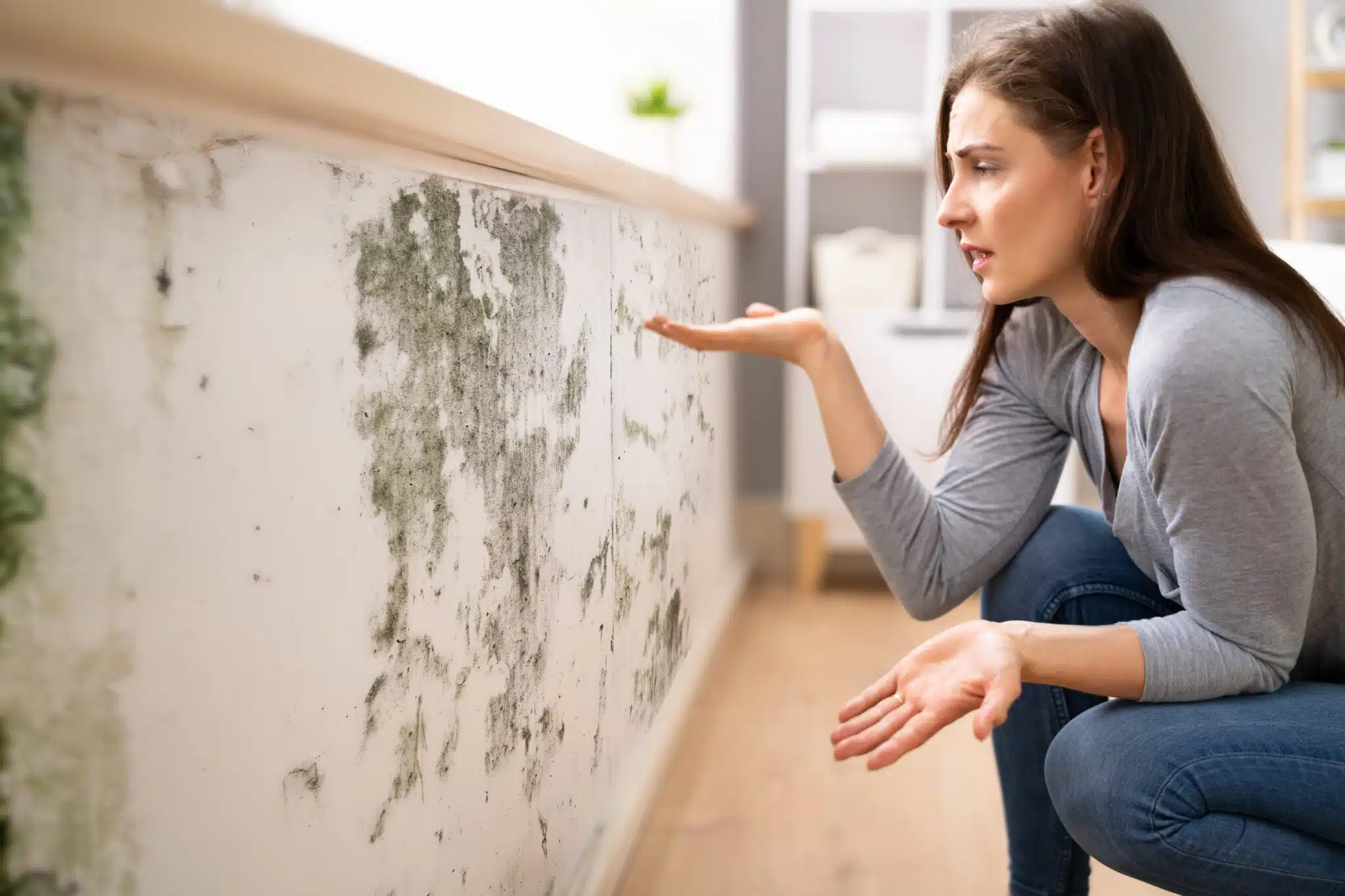 Problemes humidité- humiditi