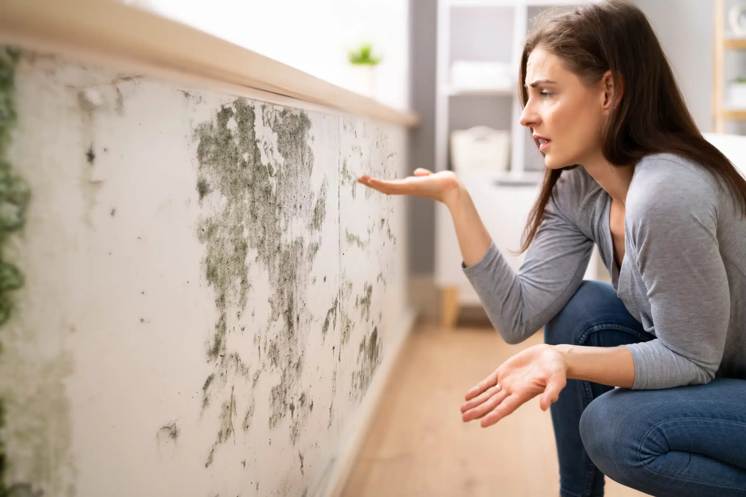 Problemes humidité- humiditi