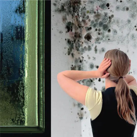 humiditi - Problemes humidite