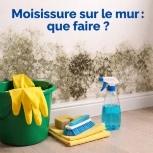 humiditi - Moisissure sur le mur