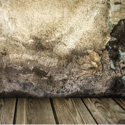 mieux comprendre humidité - humiditi